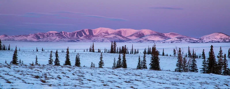 Snow-covered Alaskan forest and mountains